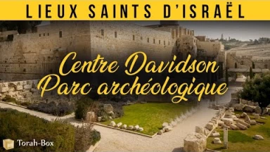 Lieux Saints d’Israël - Visite du Centre Davidson