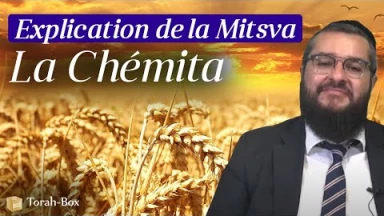 Explication de la Mitsva de Chémita