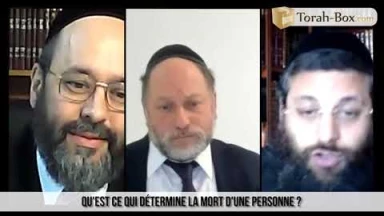 Rabbins dans la Cité : Les dons d'organe