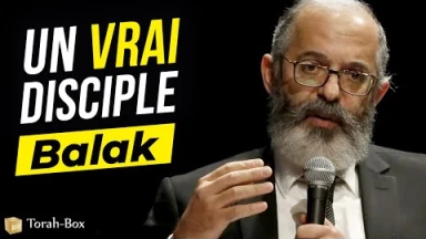 Le Message de la Paracha - Balak : Un vrai disciple