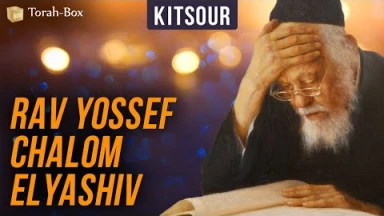 Kitsour : Rav Yossef Chalom Elyashiv