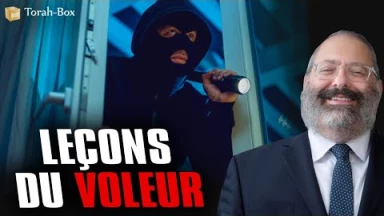 Leçons du voleur