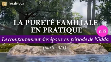 La Pureté Familiale en pratique (n°8) - Le comportement des époux en période de Nidda (3/3)