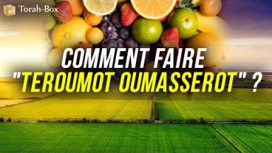 Comment faire Téroumot Oumaassrot ? Les prélèvements rituels sur la récolte