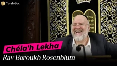 La Paracha Chéla'h Lékha avec Rav Rosenblum