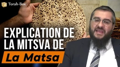 Explication de la Mitsva de la Matsa