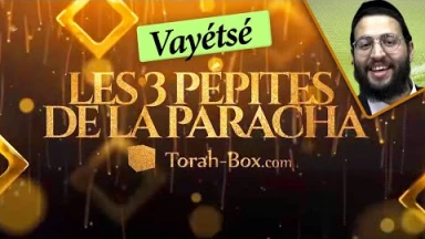 Les 3 Pépites de la Paracha Vayétsé