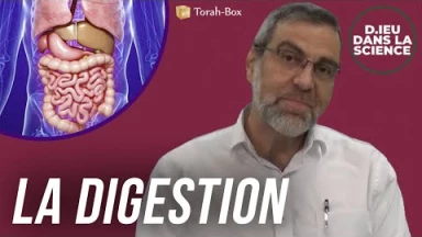 D.ieu dans la science! La digestion