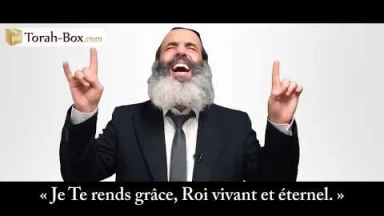 Dis Merci ! (Rav Fanger)