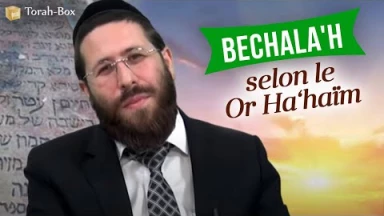Bechala'h selon le Or Ha‘haïm
