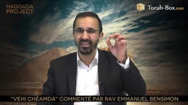 Haggada Project n°10 - "Vehi Ché'amda"