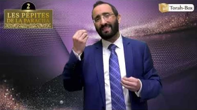 Les 3 Pépites de la Paracha Tazria-Métsora