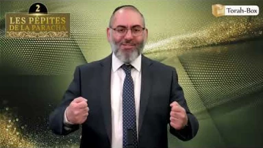 Les 3 Pépites de la Paracha Bamidbar