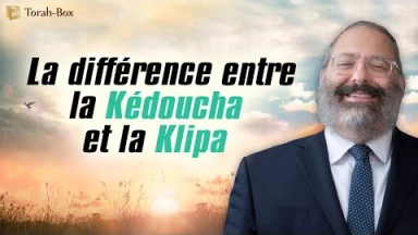La différence entre la Kédoucha et la Klippa