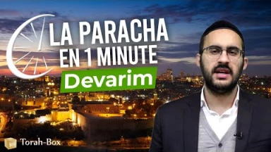La Paracha en 1 minute - Devarim / Ticha Béav