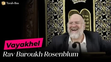 La Paracha Vayakhel avec Rav Rosenblum