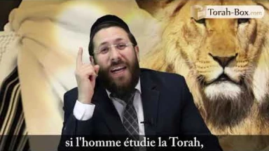 Tsav selon le Or Ha‘haïm