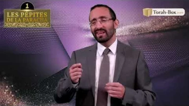 Les 3 Pépites de la Paracha Ki-Tetsé