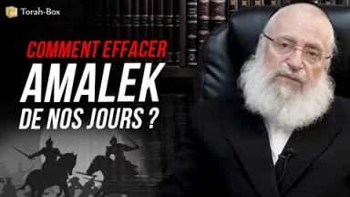 Comment effacer Amalek de nos jours ?