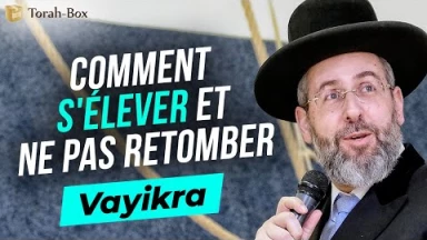 Vayikra : Comment s'élever et ne pas retomber