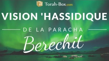 Vision 'Hassidique de la Paracha - Berechit