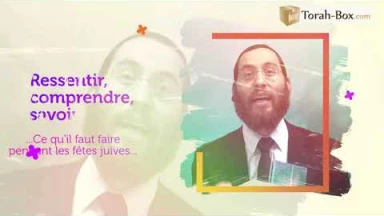 Vous avez toujours voulu ressentir, comprendre, savoir ce qu'il faut faire pendant les fêtes juives ?