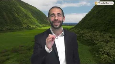 Vision 'Hassidique de la Paracha - Pékoudé