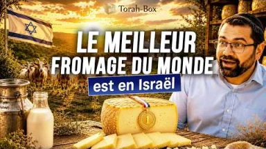  J'ai goûté le meilleur fromage du monde en Israël