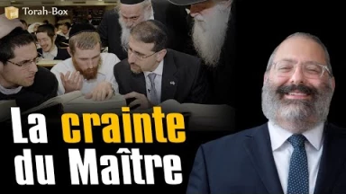 La crainte du Maître