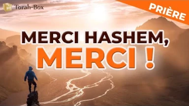 Merci Hachem, merci & merci !