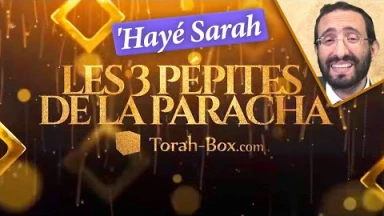 Les 3 Pépites de la Paracha 'Hayé Sarah
