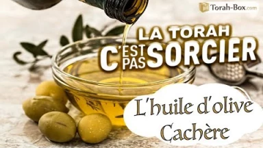 La Torah, c'est pas sorcier : L'Huile d'Olive Cachère