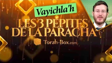 Les 3 Pépites de la Paracha Vayichla'h