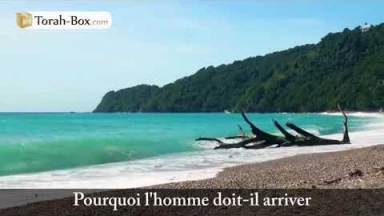 Une larme dans la mer... (Rav Chaoulov)