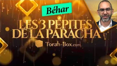 Les 3 Pépites de la Paracha Béhar