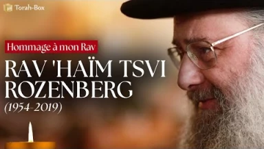 Hommage à Rav 'Haïm Tzvi Rozenberg, le "maître du Talmud"
