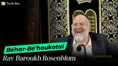 La Paracha Béhar-Bé'houkotaï avec Rav Rosenblum
