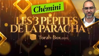 Les 3 Pépites de la Paracha Chémini
