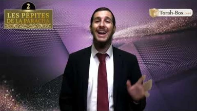 Les 3 Pépites de la Paracha Choftim