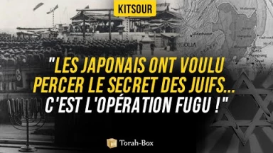 "Les Japonais Ont Voulu Percer Le Secret des Juifs... C'est L'Opération Fugu ! " Kitsour.