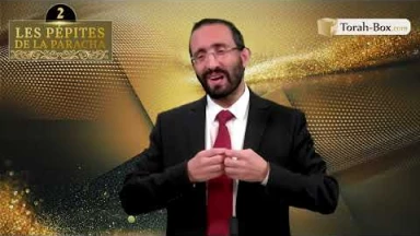 Les 3 Pépites de la Paracha Nitsavim-Vayélèkh