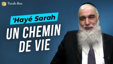 Le Message de la Paracha - 'Hayé Sarah : Un chemin de vie