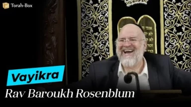 La Paracha Vayikra avec Rav Rosenblum