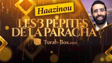 Les 3 Pépites de la Paracha Haazinou