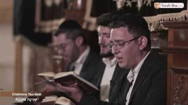 Kinot de Ticha Béav n°18 : Chékhina Tso'ékèt / שְׁכִינָה צוֹעֶקֶת
