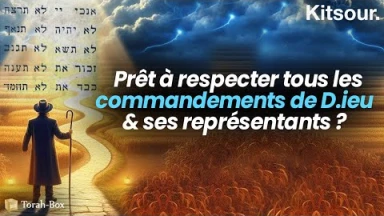 "Prêt à Respecter Tous les Commandements de D.ieu & Ses Représentants ?" Kitsour.