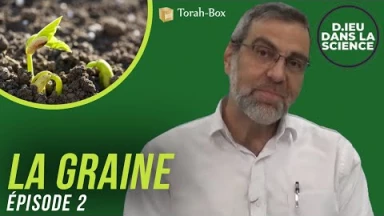 D.ieu dans la Science! La graine - épisode 2