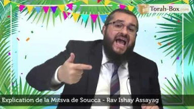 Explication de la Mitsva de Soucca