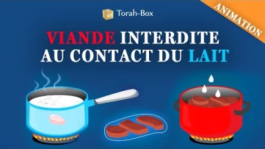 Mélanges lait/viande : Viande interdite au contact du lait