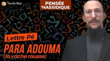 La lettre Pé : Para Adouma (la vache rousse)